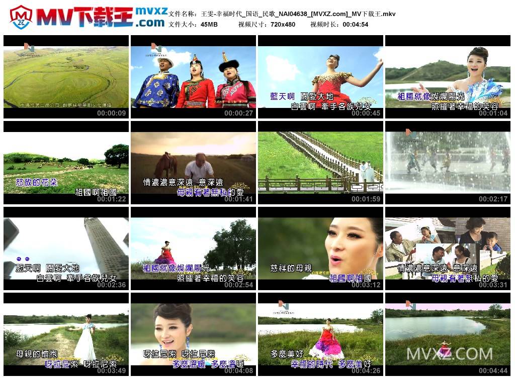 王雯-幸福时代_国语_民歌_NAI04638